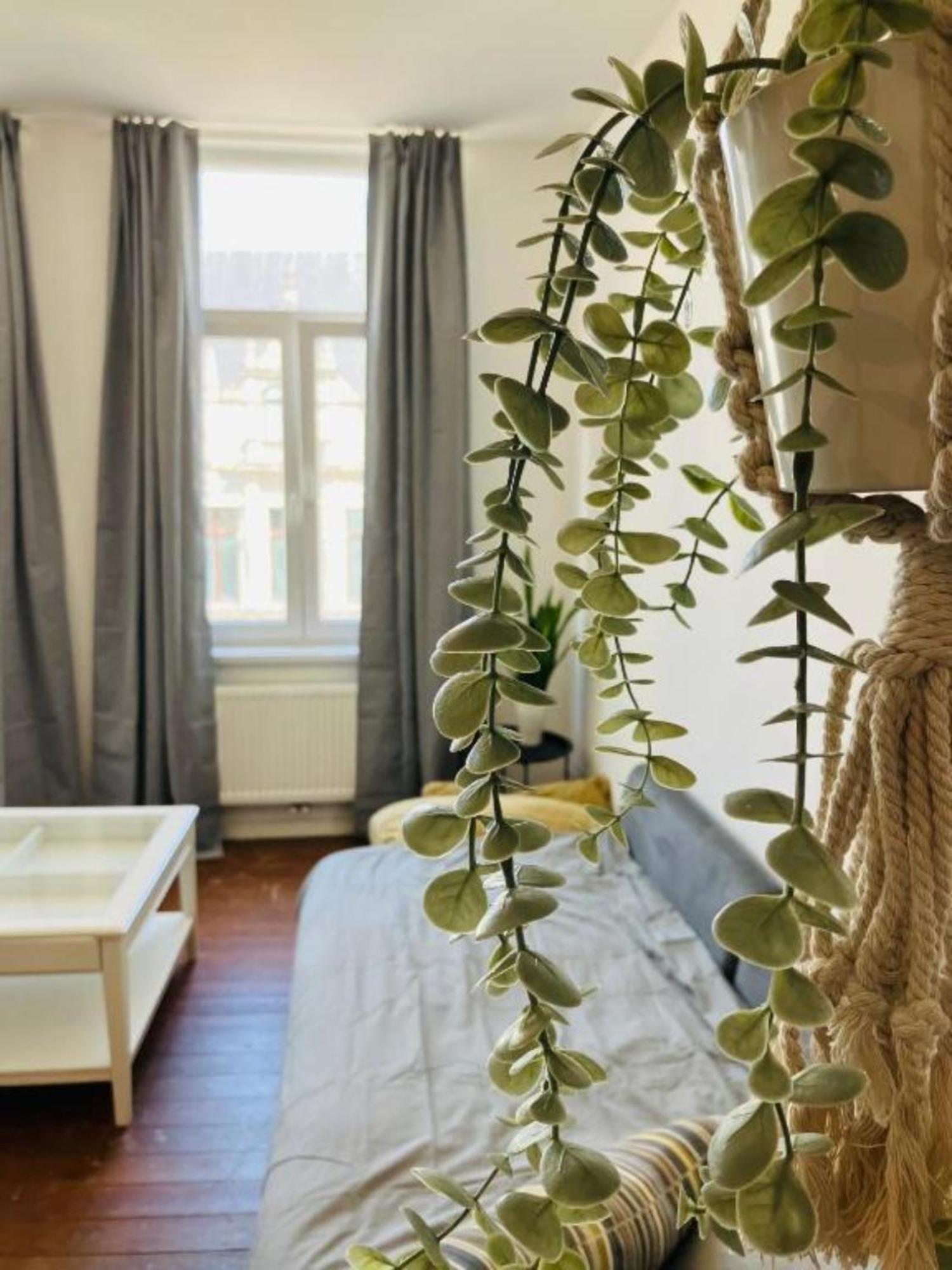 Bnb Suikernest Antwerpen Buitenkant foto